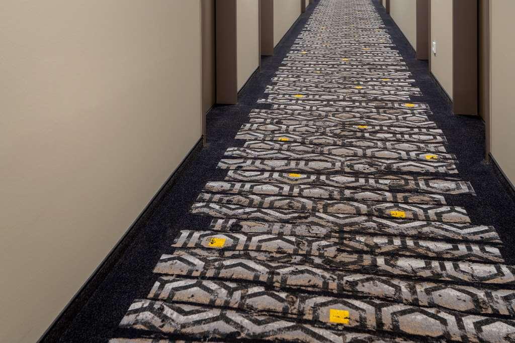 Holiday Inn - The Niu, Timber Esslingen By Ihg Esslingen am Neckar Facilities photo